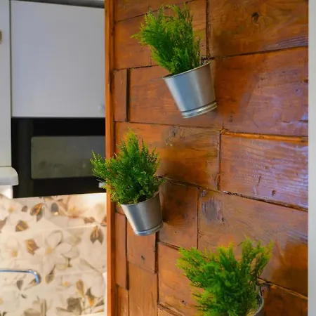 Apartament Tomas Brela